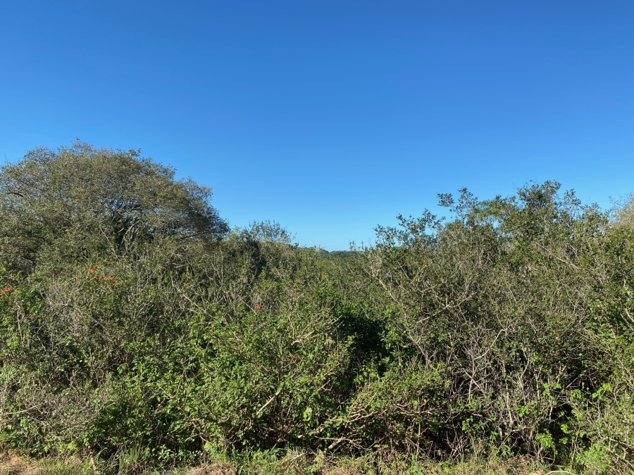 0 Bedroom Property for Sale in Bathurst Eastern Cape